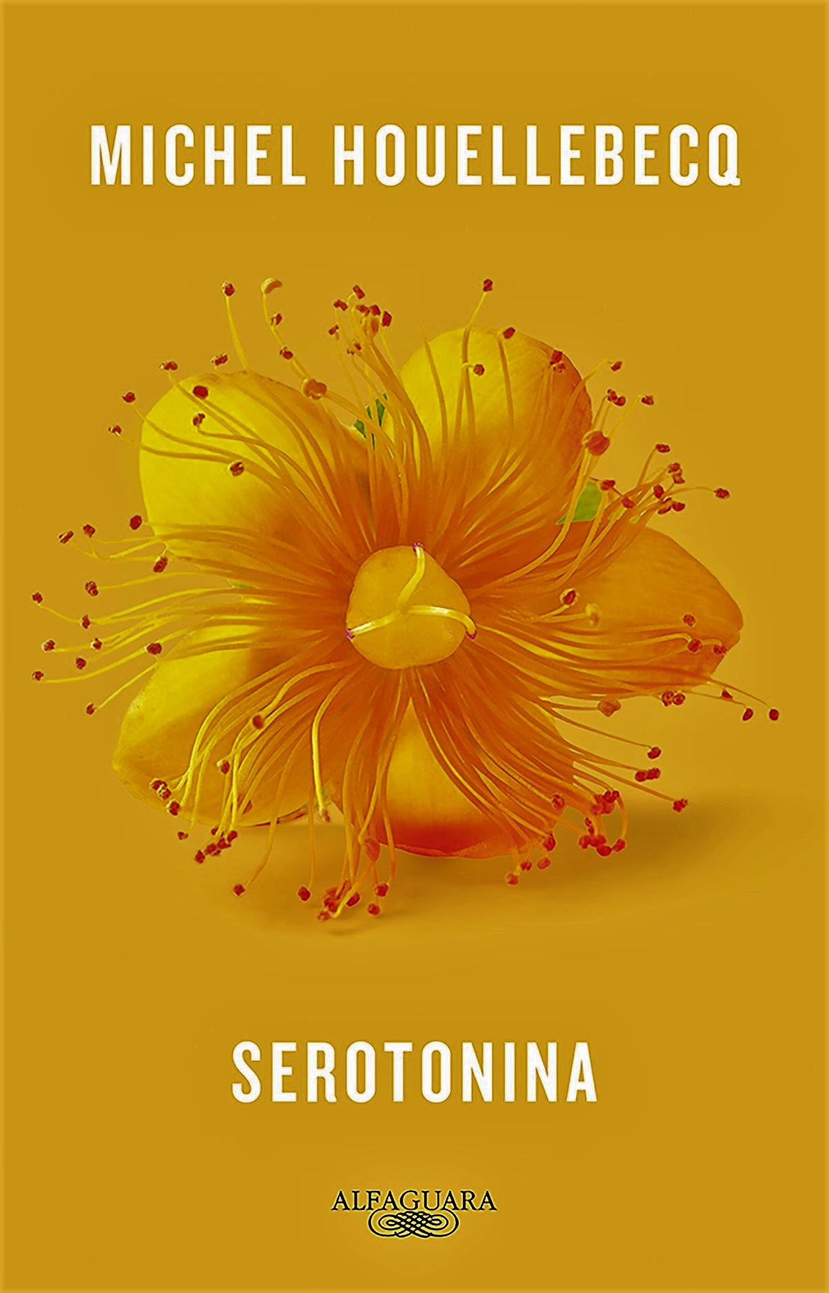 SEROTONINA