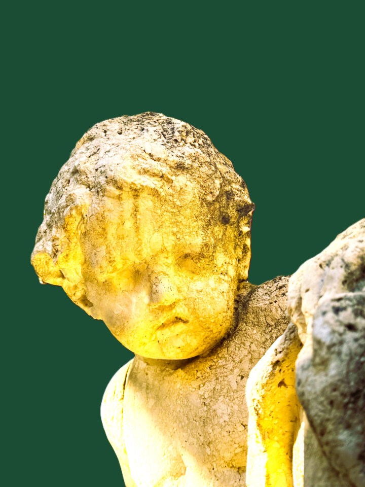 O MENINO (LYGIA FAGUNDES TELLES)